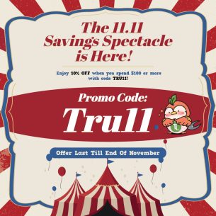 465117661_865181505725802_9216085008315562323_n